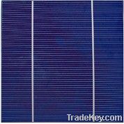 poly solar cells