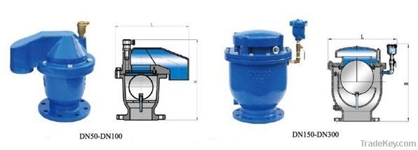 Combination Air Valve