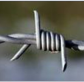 Barbed Wire