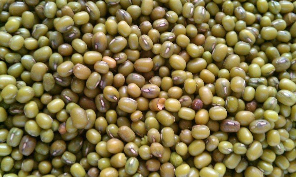 mung beans