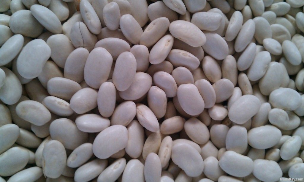 white beans