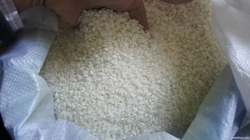 Rice | Rice Exporter | Rice Distributor | Rice Wholesaler | Rice Supplier | Rice Importer | Basmati Rice | Rice For Sale | Long Grain Rice Exporter | Buy Rice Online | Rice For Sale | Basmati Rice Exporter | Basmati Rice Wholesaler | Long Grain Rice buyer