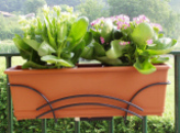 Flower Boxes (Wood - Wrought Iron)