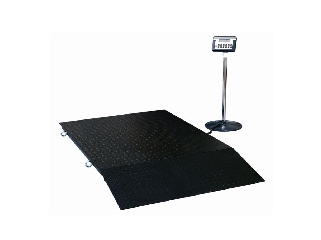 Floor Scale