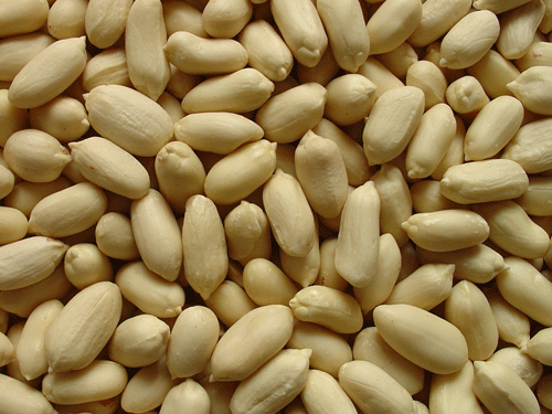 Blanched peanut kernels