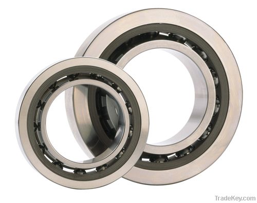 stainless steel bearing 6202zz