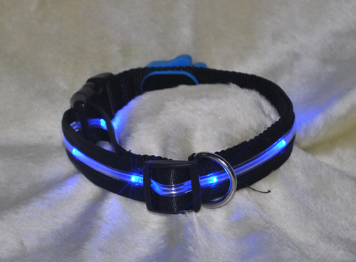 pet collar