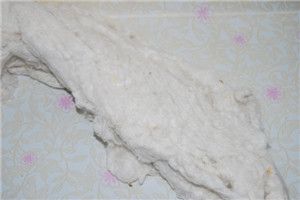 Noil silk fiber