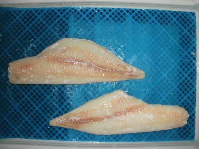 Haddock