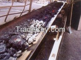 Heat resistant conveyer belt