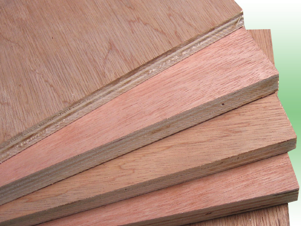 bingtangor plywood