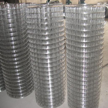 Galvanized Welded Mesh