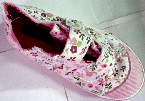 Canvas Flower Pump