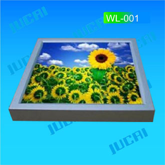 LED Wall light