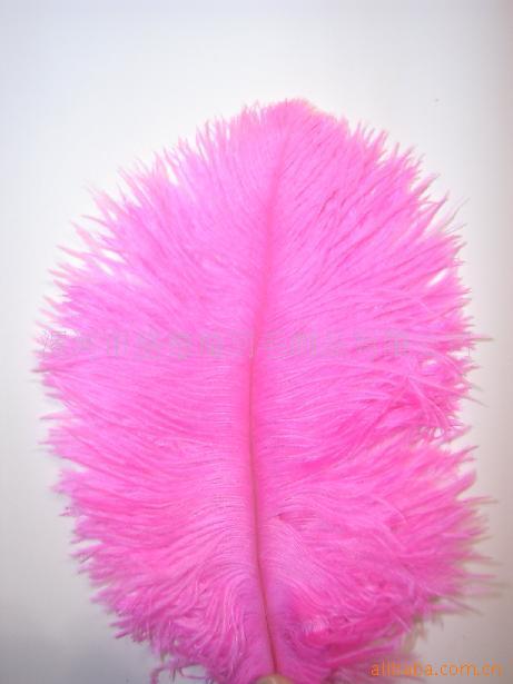 ostrich feathers