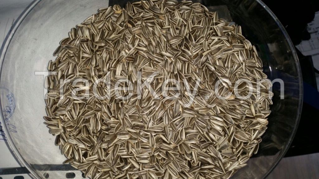 Sunflower seeds, kernels