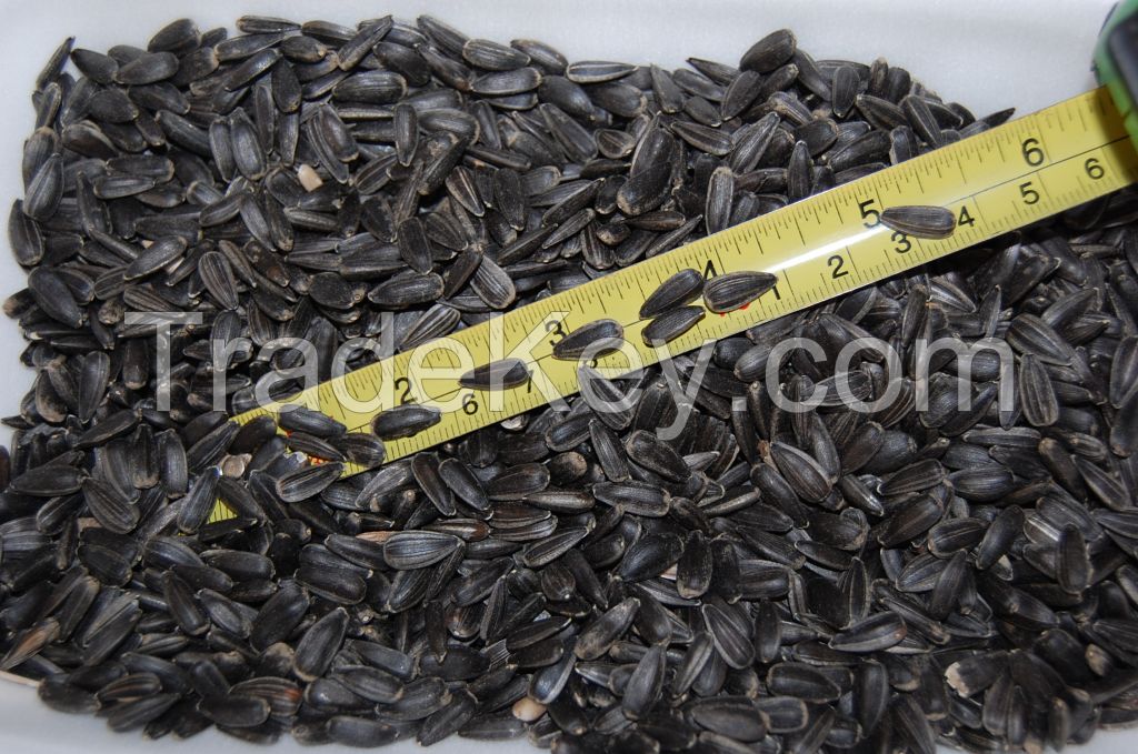 Sunflower seeds, kernels