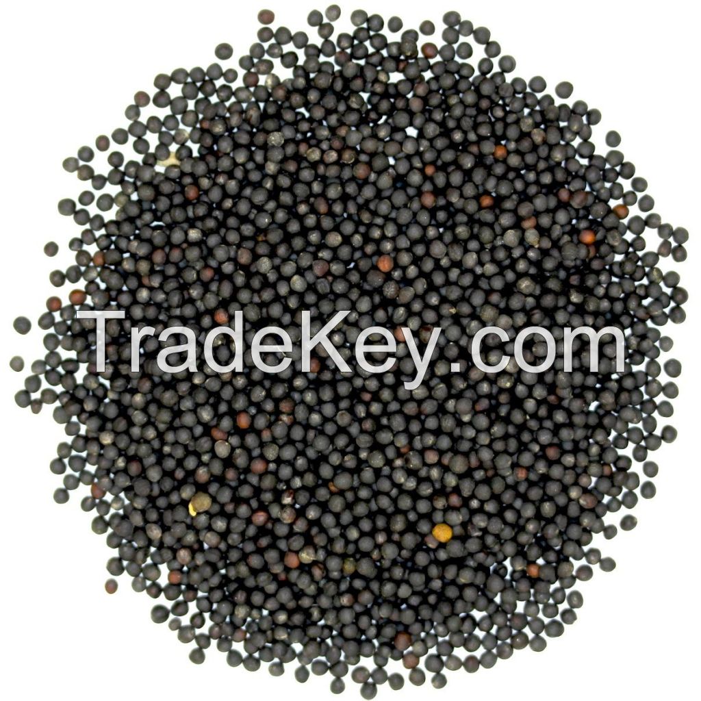 Black Rapeseed