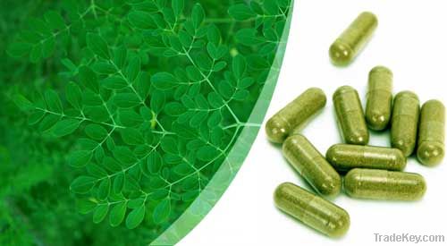 Moringa Powder, Capsules and Vegetarian Tablets