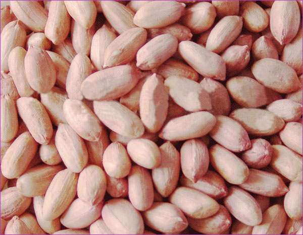 peanut kernels