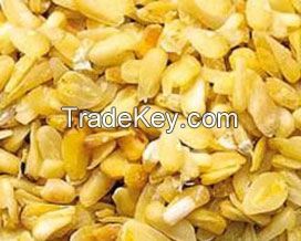 Corn/ Maize Germ Best Quality