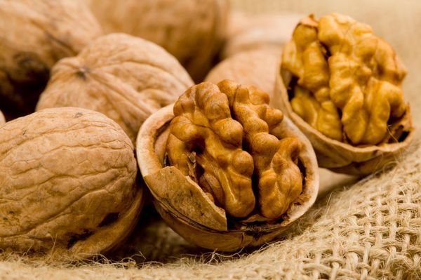 walnuts in shell wholesale 2015