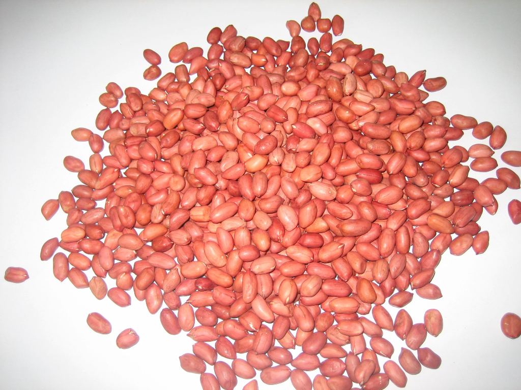 RED SKIN PEANUT KERNELS