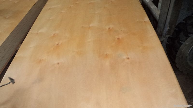 birch plywood