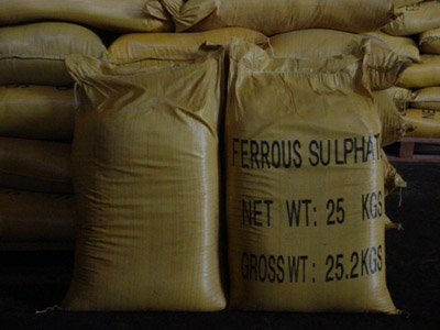 ferrous sulphate monohydrate