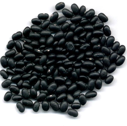 Black Kidney Beans