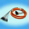 Patch cord MTRJ-MTRJ Multimode 24 fibers 62.5/125