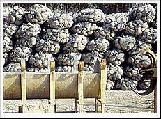 Sack Gabion