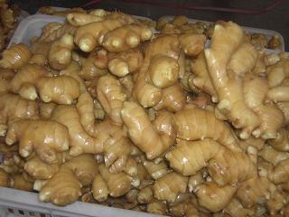 Ginger - Dried Ginger