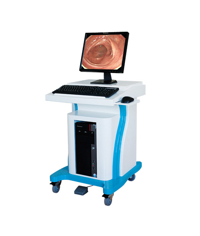 Endoscope Image Workstation