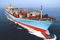 sea freight/ocean freight