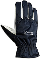 Cold protection glove