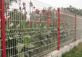 Euro welded fence(Eurofence)