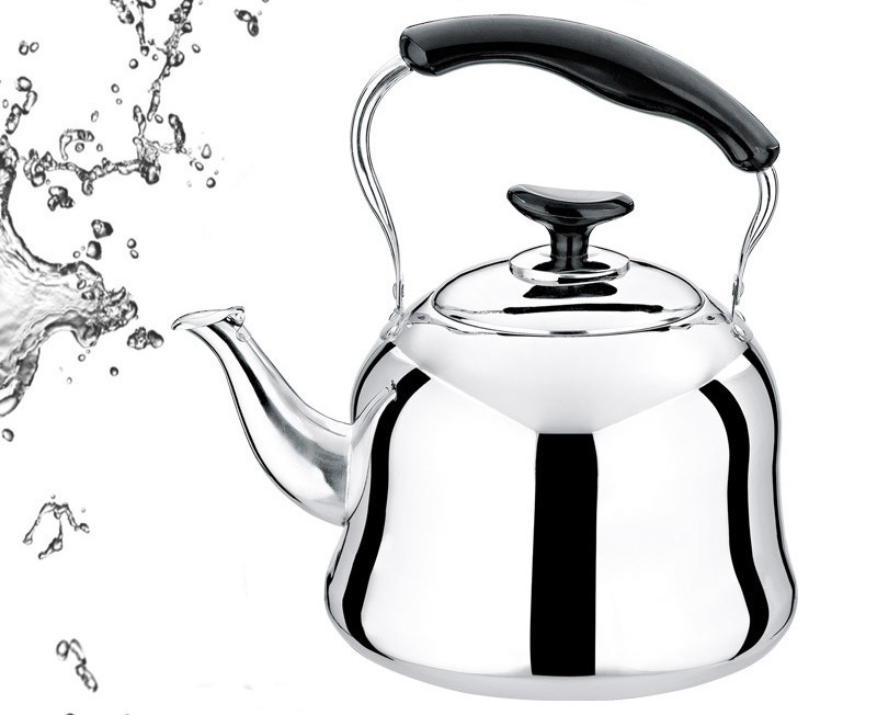 Stainless Steel Teapot