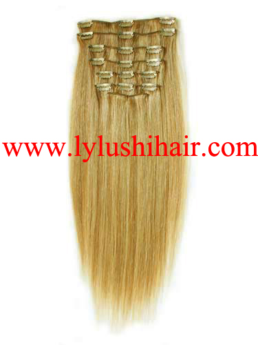 Clip in hair extension