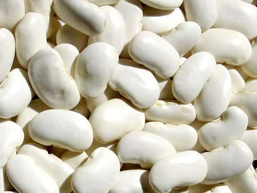 WHITE KIDNEY BEAN