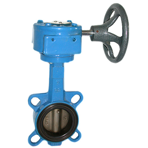 Worm wheel butterfly valve