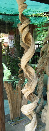 Twisted Vine