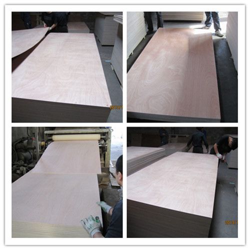 Okoume Plywood