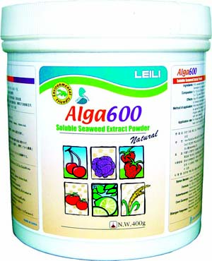 Alga 600 seaweed fertilizer