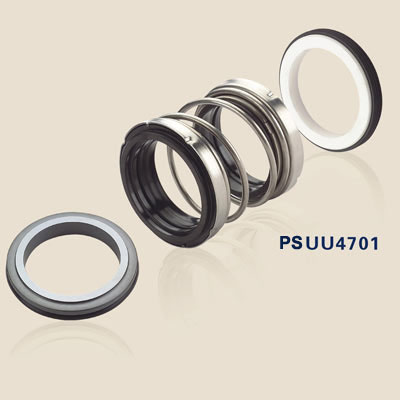 Double  Mechanical  Seal