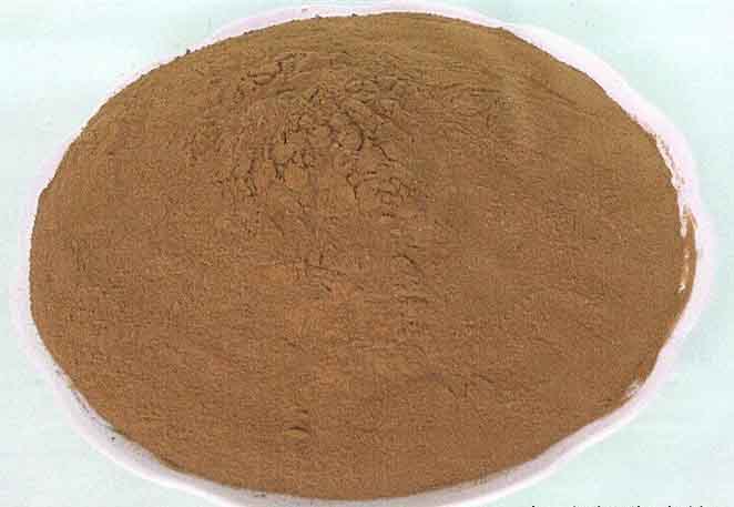 lignin