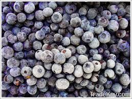 BLUEBERRIES GRADE B