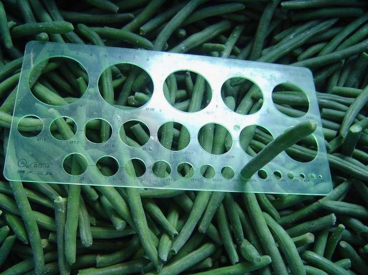 Fresh IQF Frozen Green Beans