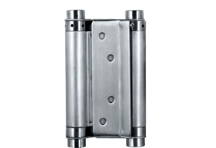 Double action spring hinge