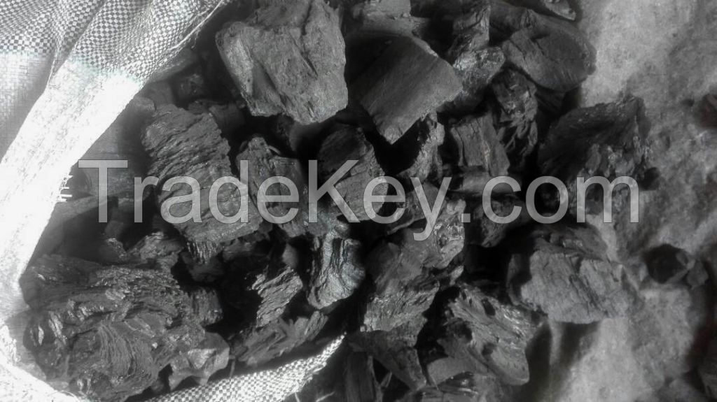 Charcoal Fines